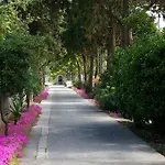 Rosa